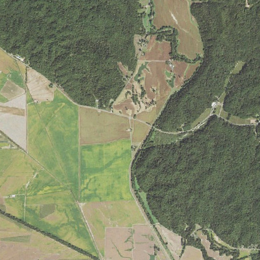 Aerial imagery of Miller Pond School, IL
