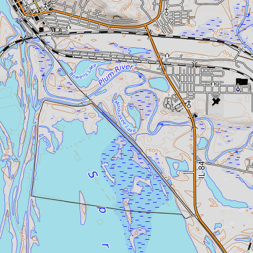 OpenTopoMap map of Misquakee Lake, IL
