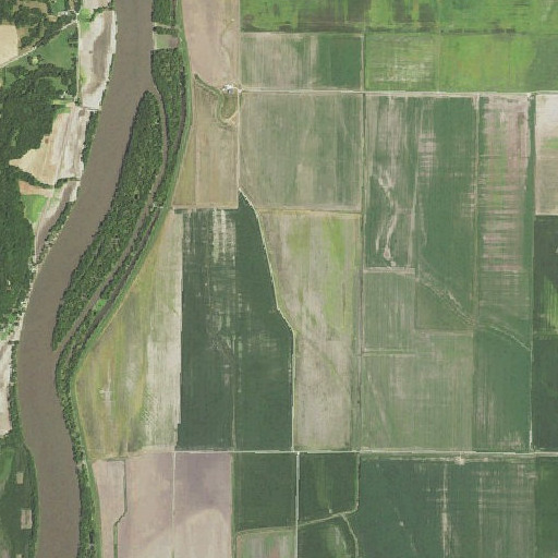 Aerial imagery of Morgan Slough, IL