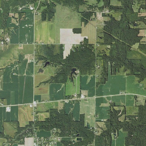Aerial imagery of Neffs Lake, IL