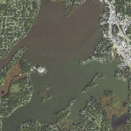 Aerial imagery of Pistakee Lake, IL