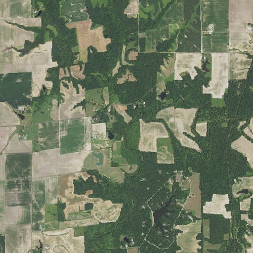 Aerial imagery of Richardson Branch, IL