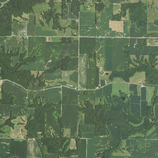 Aerial imagery of Ridge School (historical), IL