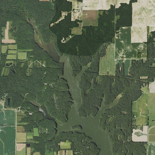 Aerial imagery of Rocky Branch, IL