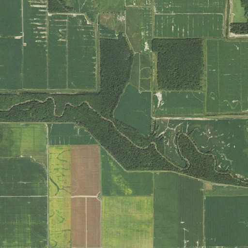Aerial imagery of Rutgers Bluff, IL