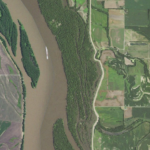 Aerial imagery of Schaffer Island, IL