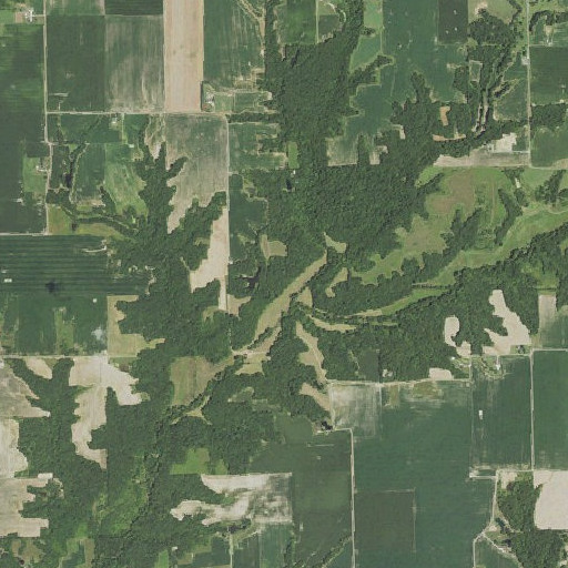 Aerial imagery of Seymore Branch, IL