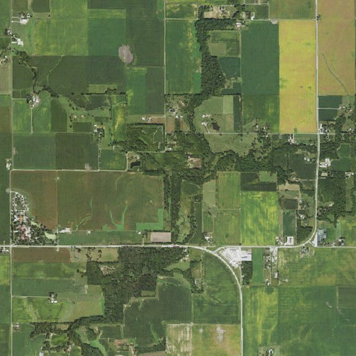 Aerial imagery of Twomile Branch, IL