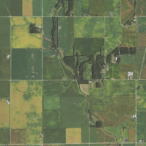 Aerial imagery of Twomile Slough, IL