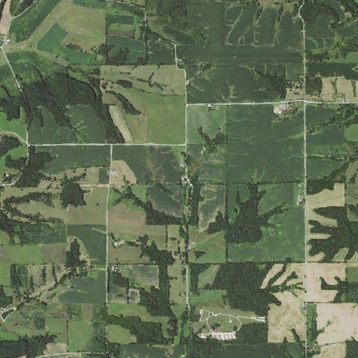 Aerial imagery of Union School (historical), IL