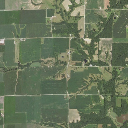 Aerial imagery of Walker Cemetery, IL
