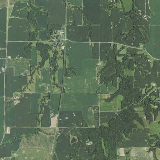 Aerial imagery of Greene County, IL