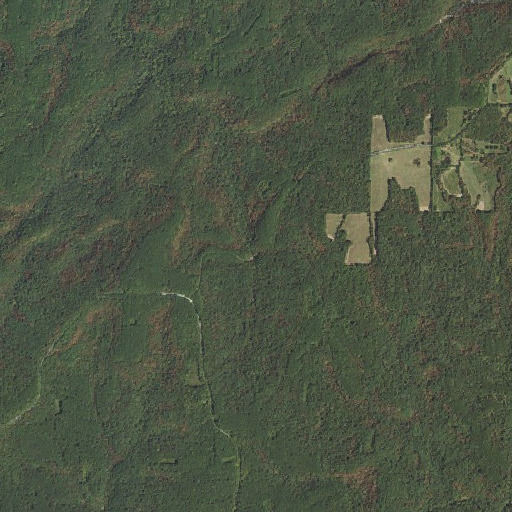 Aerial imagery of Burden Falls, IL