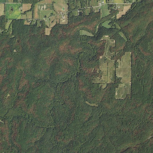 Aerial imagery of Caney Branch, IL