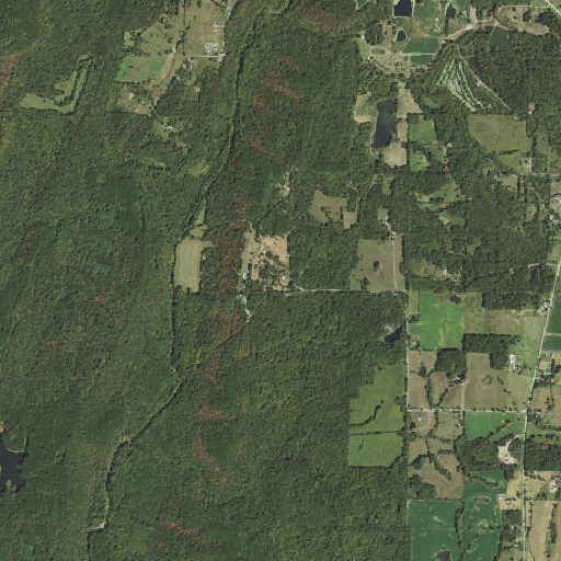 Aerial imagery of Red Mine, IL
