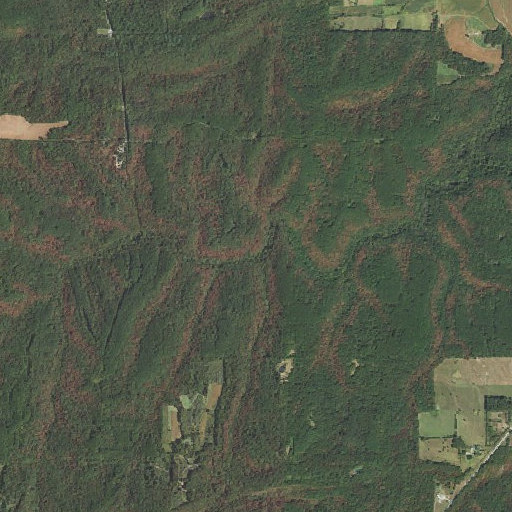 Aerial imagery of Rocky Branch, IL