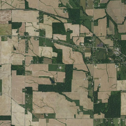 Aerial imagery of Bat Branch, IN