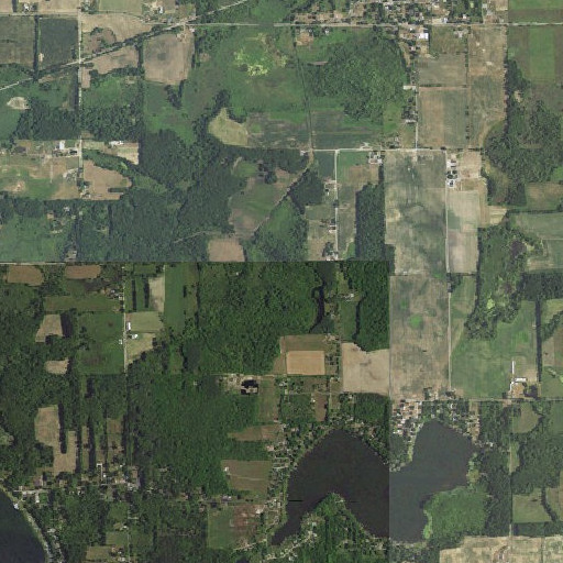 Aerial imagery of Big Swamp, IN