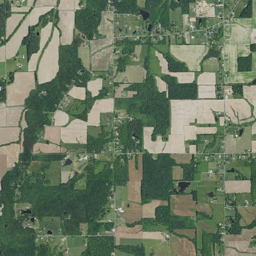 Aerial imagery of Cub Branch, IN