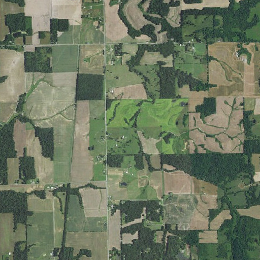 Aerial imagery of Dry Branch, IN