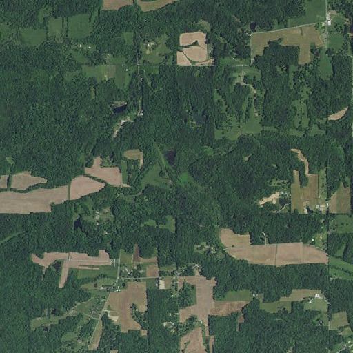 Aerial imagery of Little Caney Fork, IN