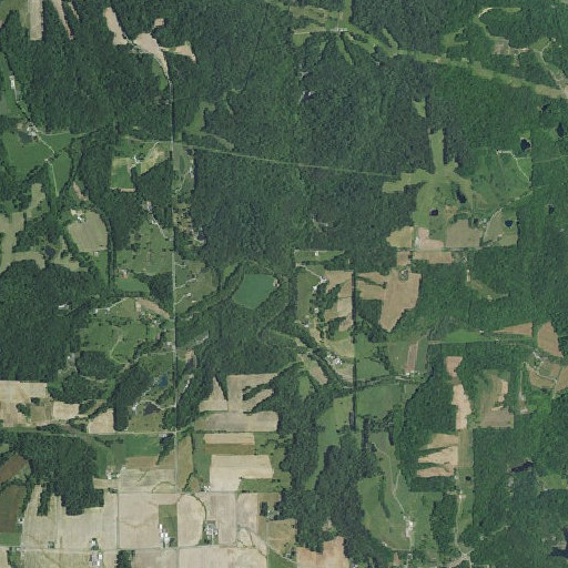 Aerial imagery of Long Branch, IN