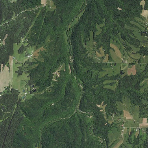 Aerial imagery of Long Branch, IN