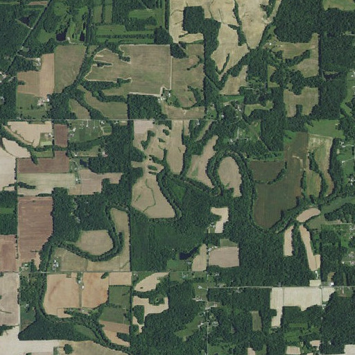 Aerial imagery of Turkey Run, IN