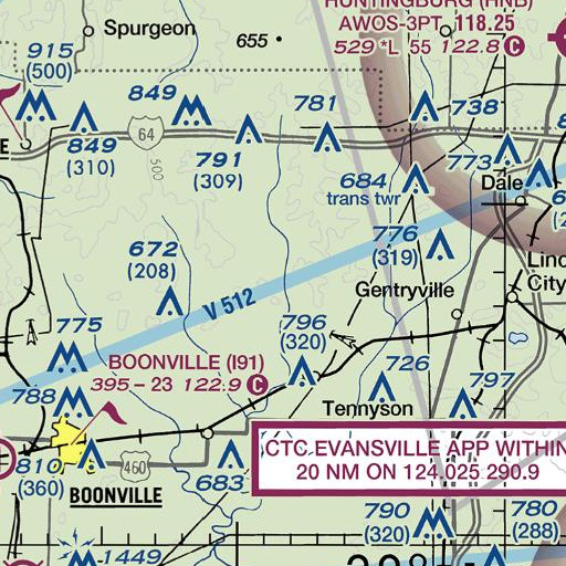 FAA VFR chart of Brushy Fork, IN