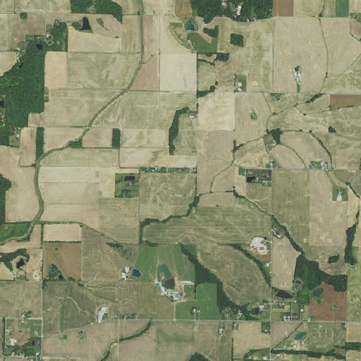 Aerial imagery of Raben Branch, IN