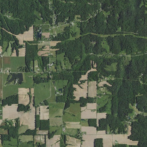 Aerial imagery of Long Acres Branch, IN