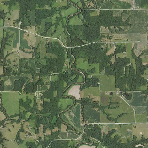 Aerial imagery of Berry Branch, IA