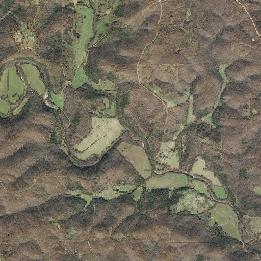 Aerial imagery of Athye Branch, AR