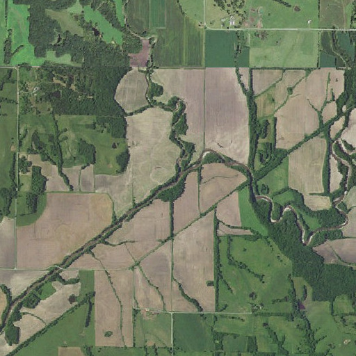Aerial imagery of Platte Branch, MO