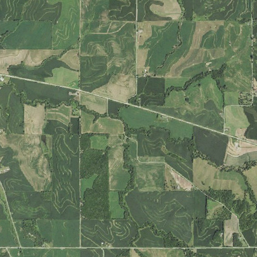Aerial imagery of Richardson Creek, IA