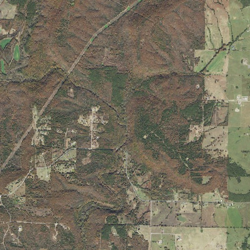 Aerial imagery of Bear Branch, AR
