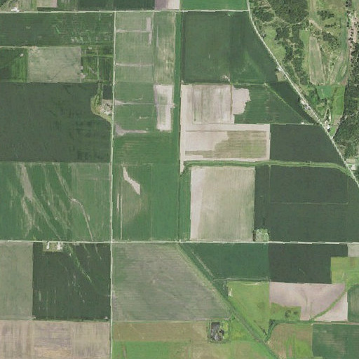 Aerial imagery of Steer Creek, IA