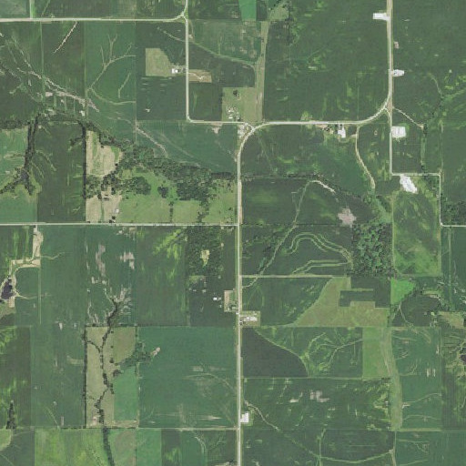 Aerial imagery of Adams Townhall, IA