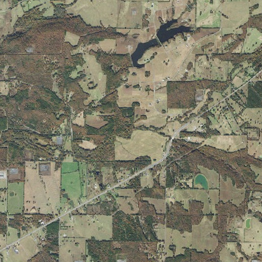 Aerial imagery of Blue Branch, AR