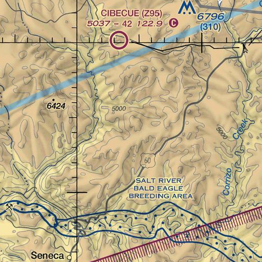 FAA VFR chart of Flying H Spring, AZ