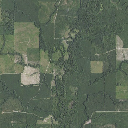 Aerial imagery of Brushy Branch, AR