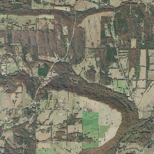 Aerial imagery of Cedar Branch, AR