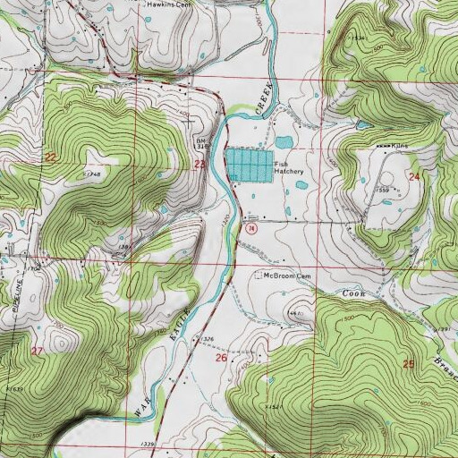 USGS 24K topo map of Coon Branch, AR
