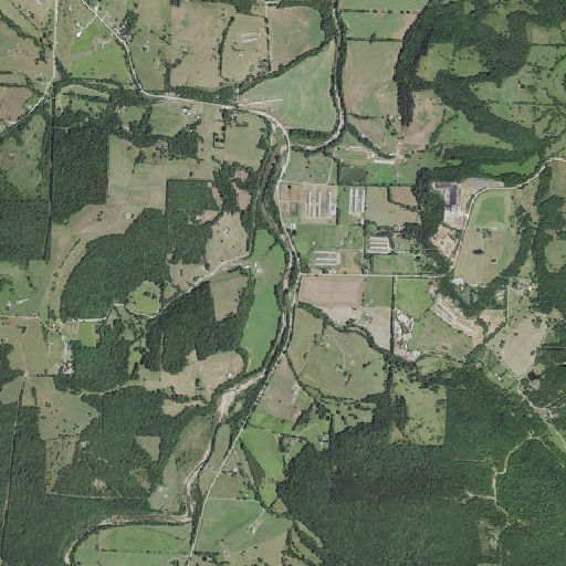Aerial imagery of Coon Branch, AR