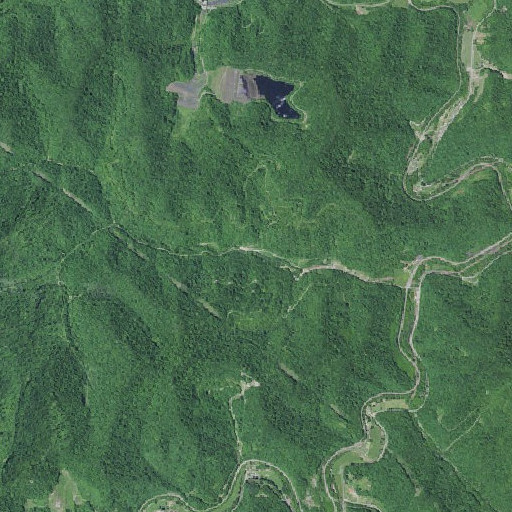 Aerial imagery of Dick Fork, KY