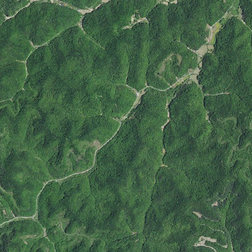 Aerial imagery of Back Branch, KY