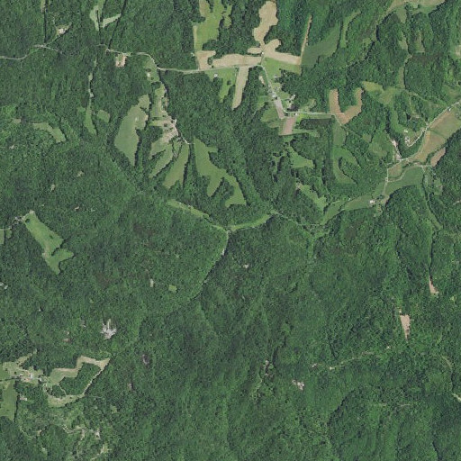 Aerial imagery of Bacon Branch, KY