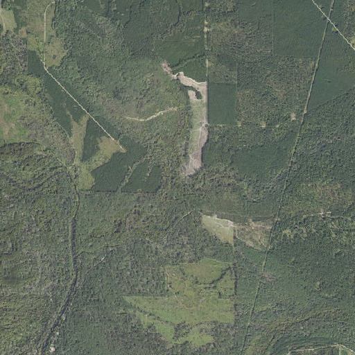 Aerial imagery of Dry Branch, AR