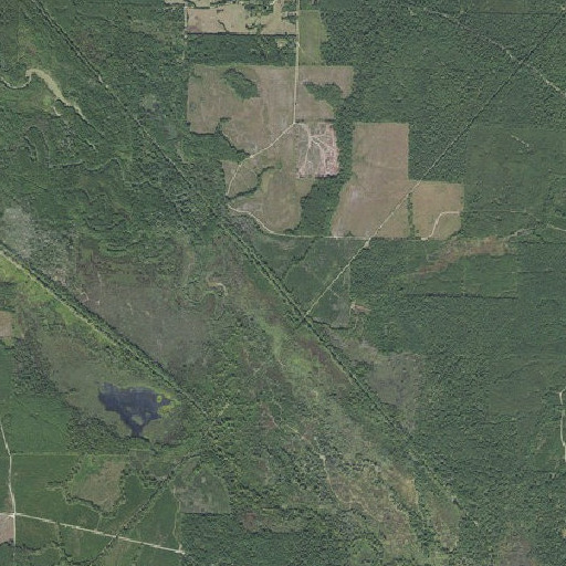 Aerial imagery of Dry Branch, AR