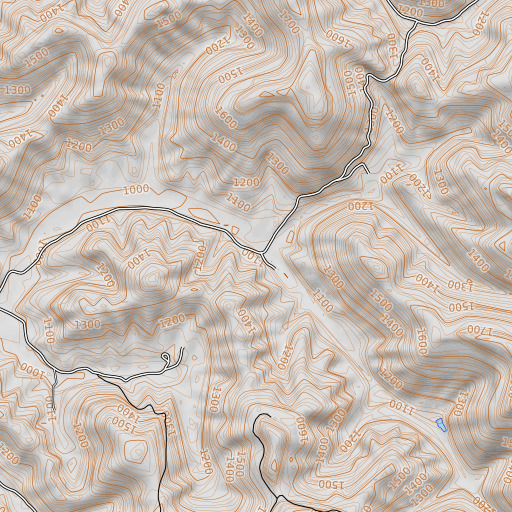 OpenTopoMap map of Bain Branch, KY